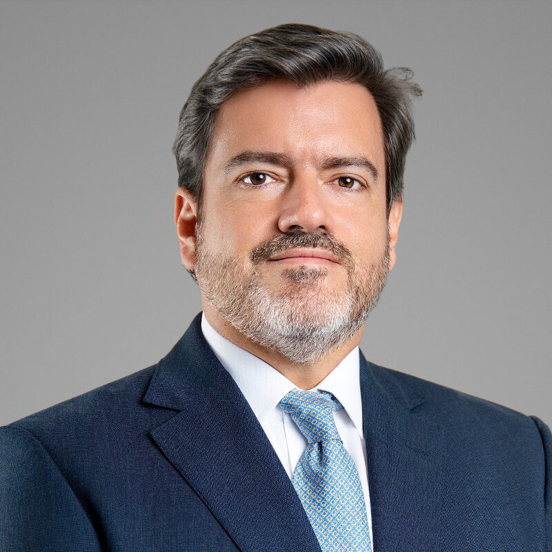 Luis M Castro photo