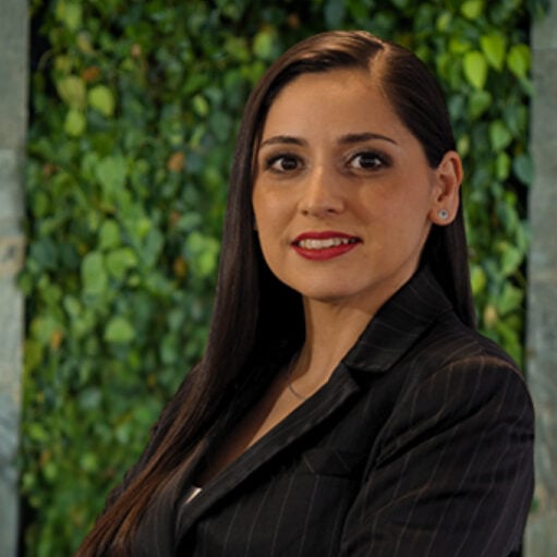 Mariela Castro photo
