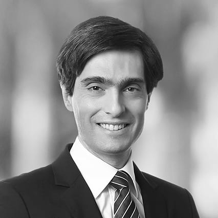 Franck De Vita photo