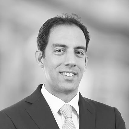 Francesco Scebba photo