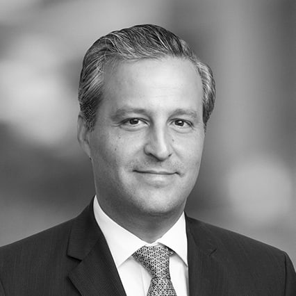 Rodrigo Dominguez Sotomayor photo