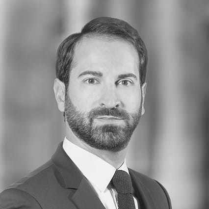 Hugues Racovski photo