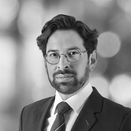 Fernando Vázquez-Chelius Solís photo