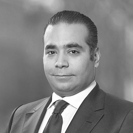 Tarek Mohanna photo