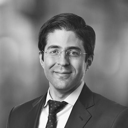 Henri Capin-Gally CFA photo
