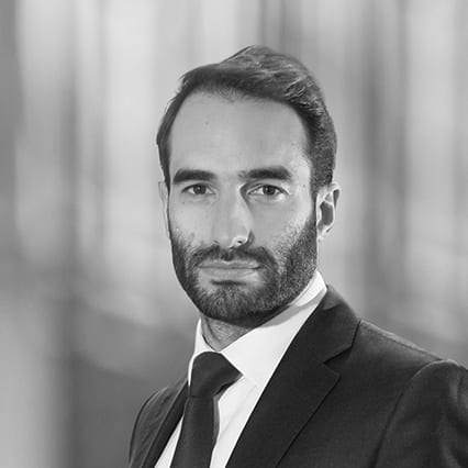 Guillaume Vitrich photo