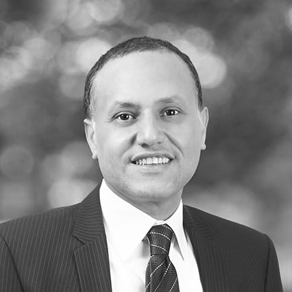 Walid El Daly photo