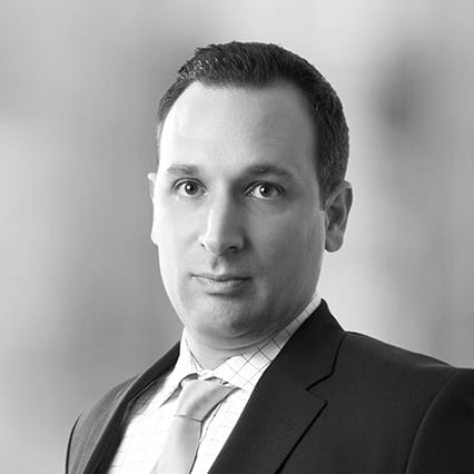Michael Turrini photo