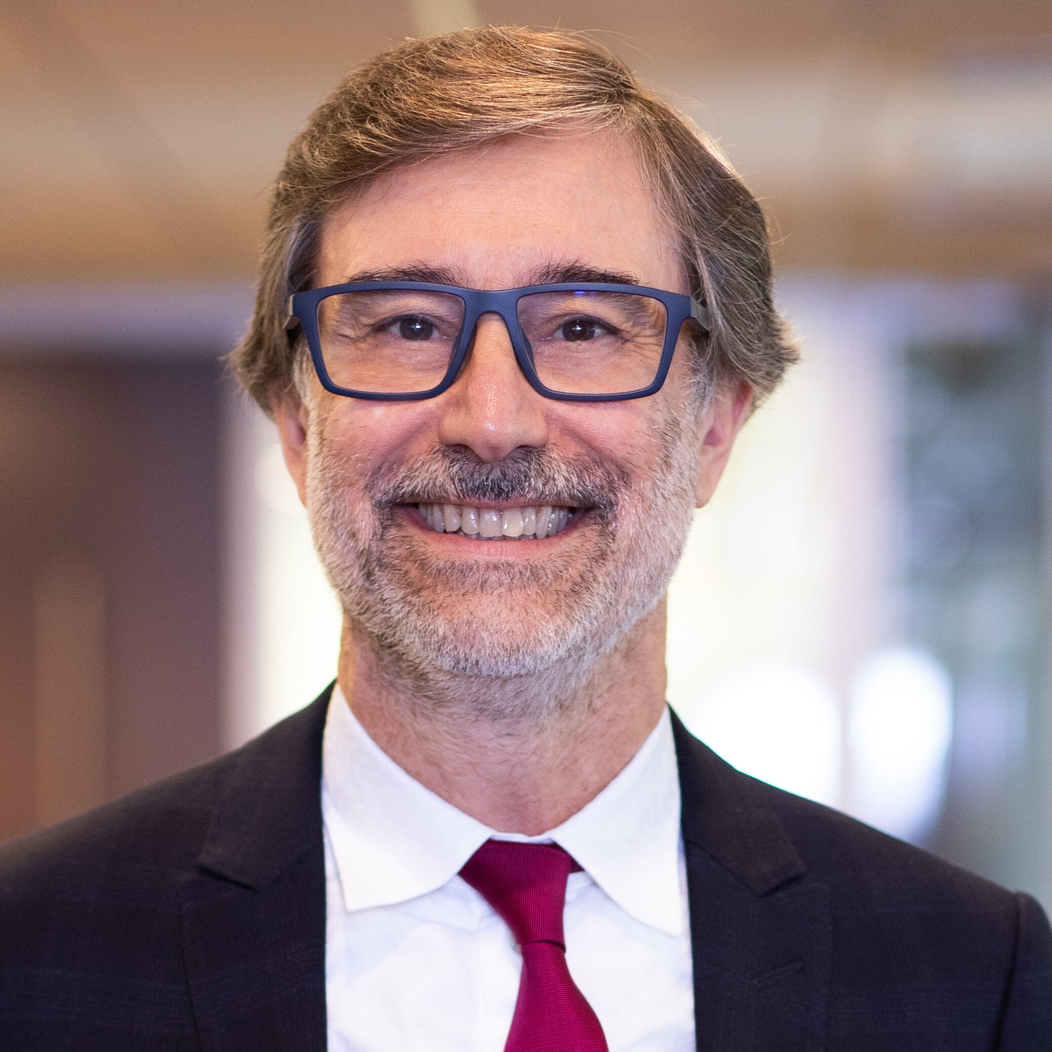 Luís Antônio Ferraz Mendes photo