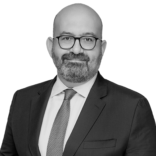Gamal Abouali photo