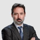 Javier San Martín photo