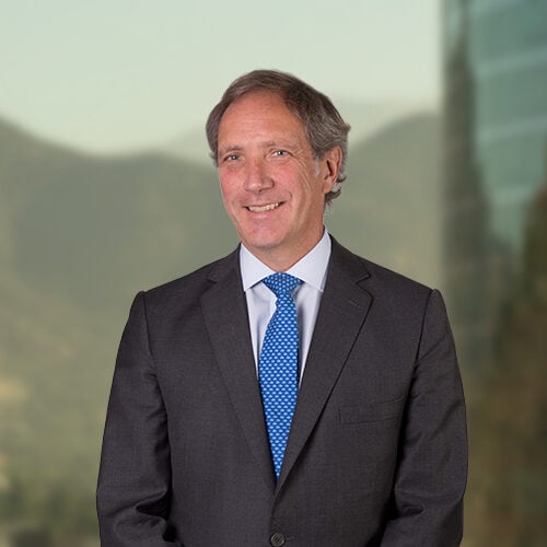 Gonzalo Grez photo