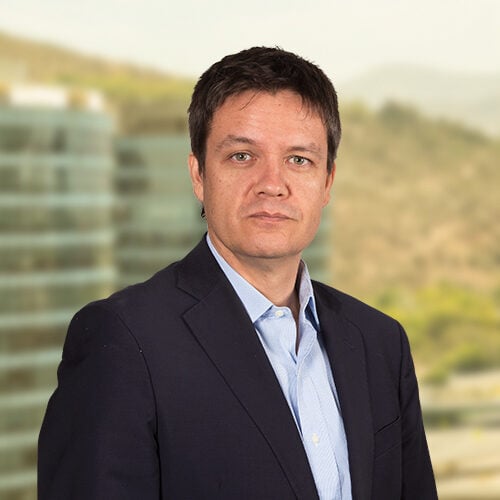 Rodrigo Lavados photo
