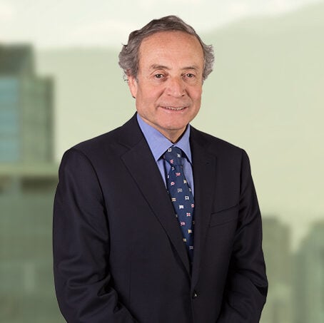 Florencio Bernales photo