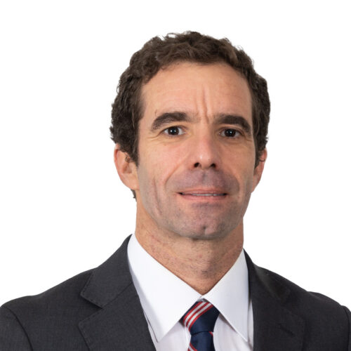 Diego Morandé photo