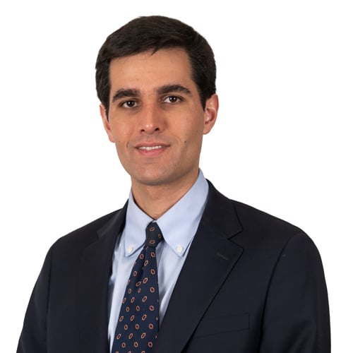 Agustín Bulnes photo