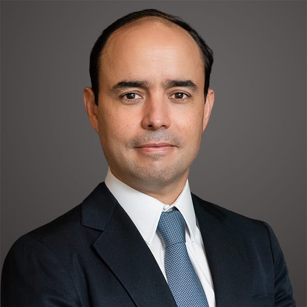 Marcelo Lamego Carpenter photo