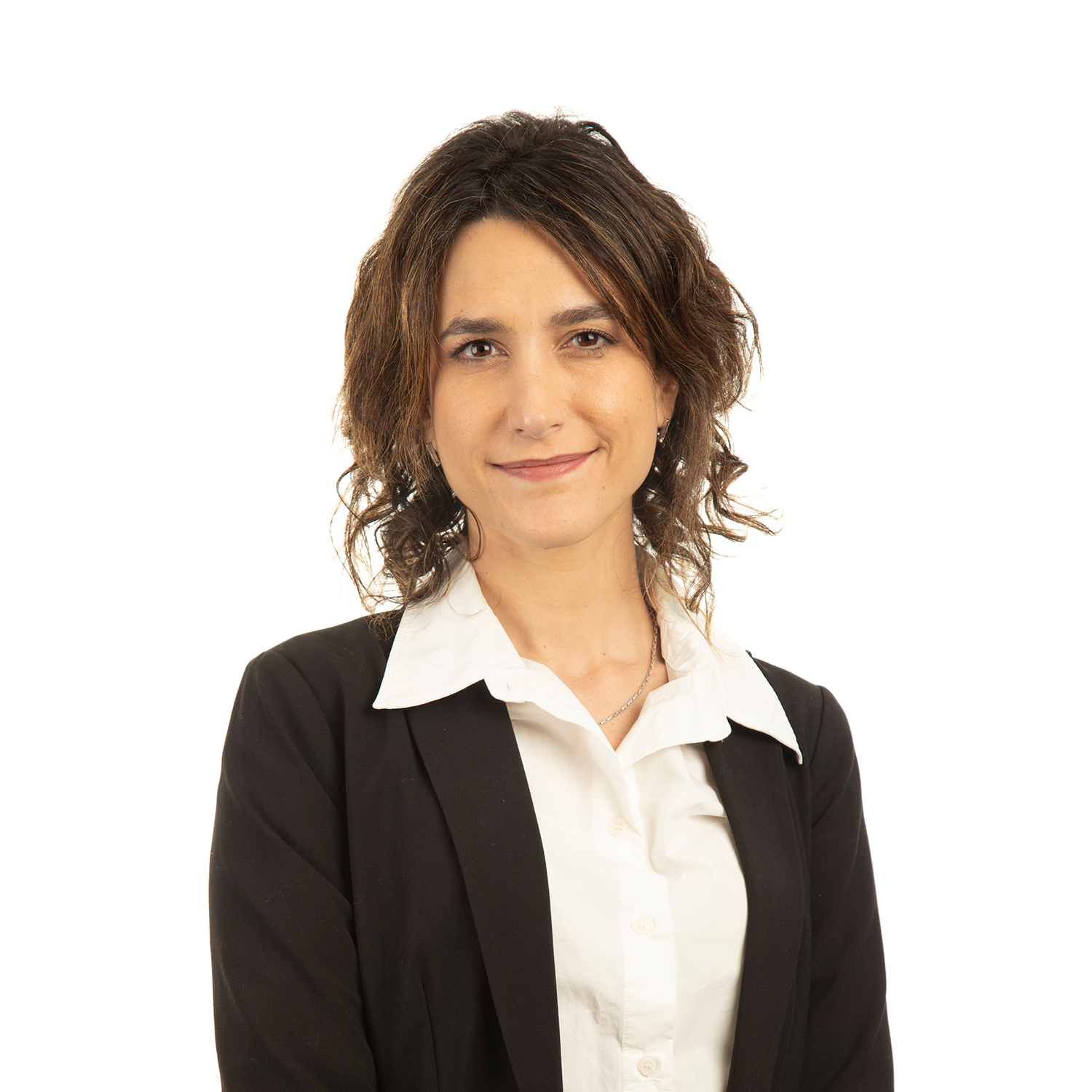 Andrea Schiavone photo