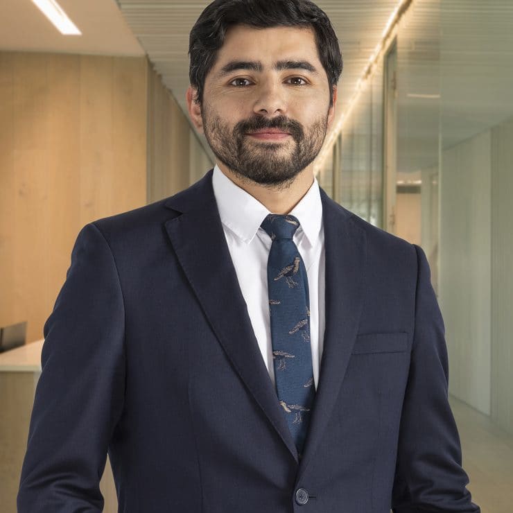 Manuel Sepúlveda photo