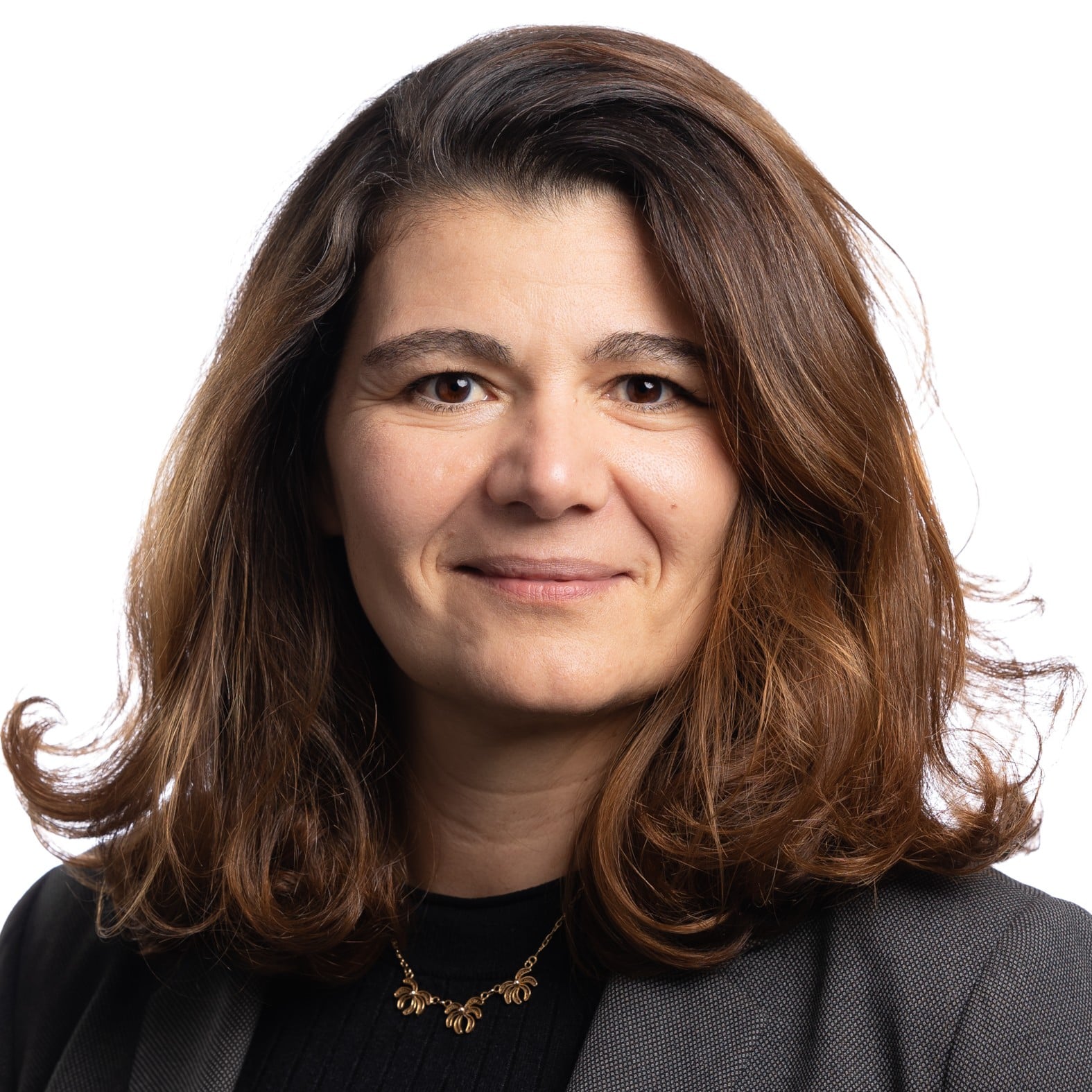 Anne-Laure Villedieu photo