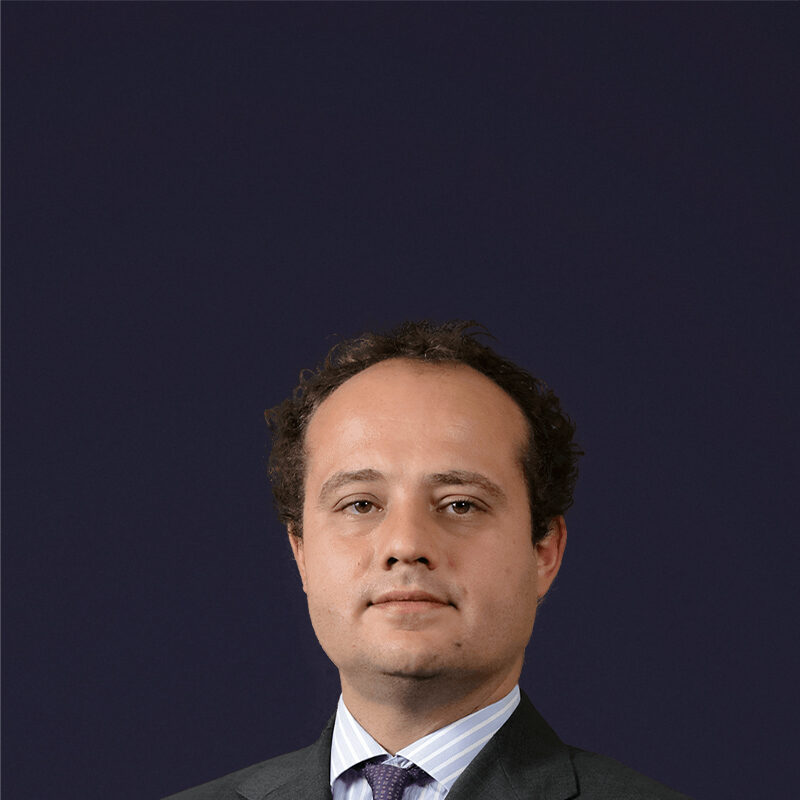Stefano Parrocchetti Piantanida photo