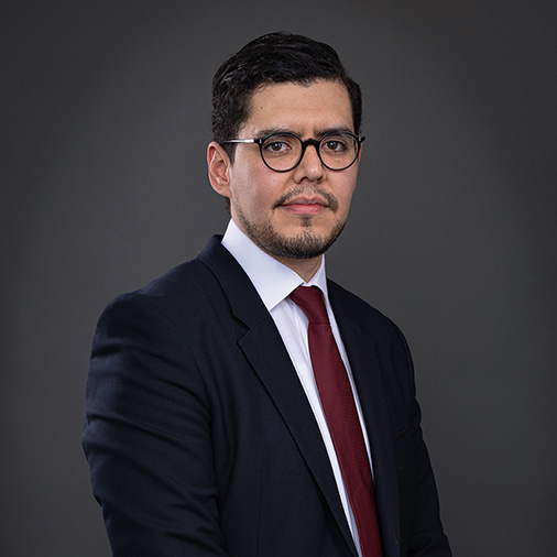Aldo Ramírez photo